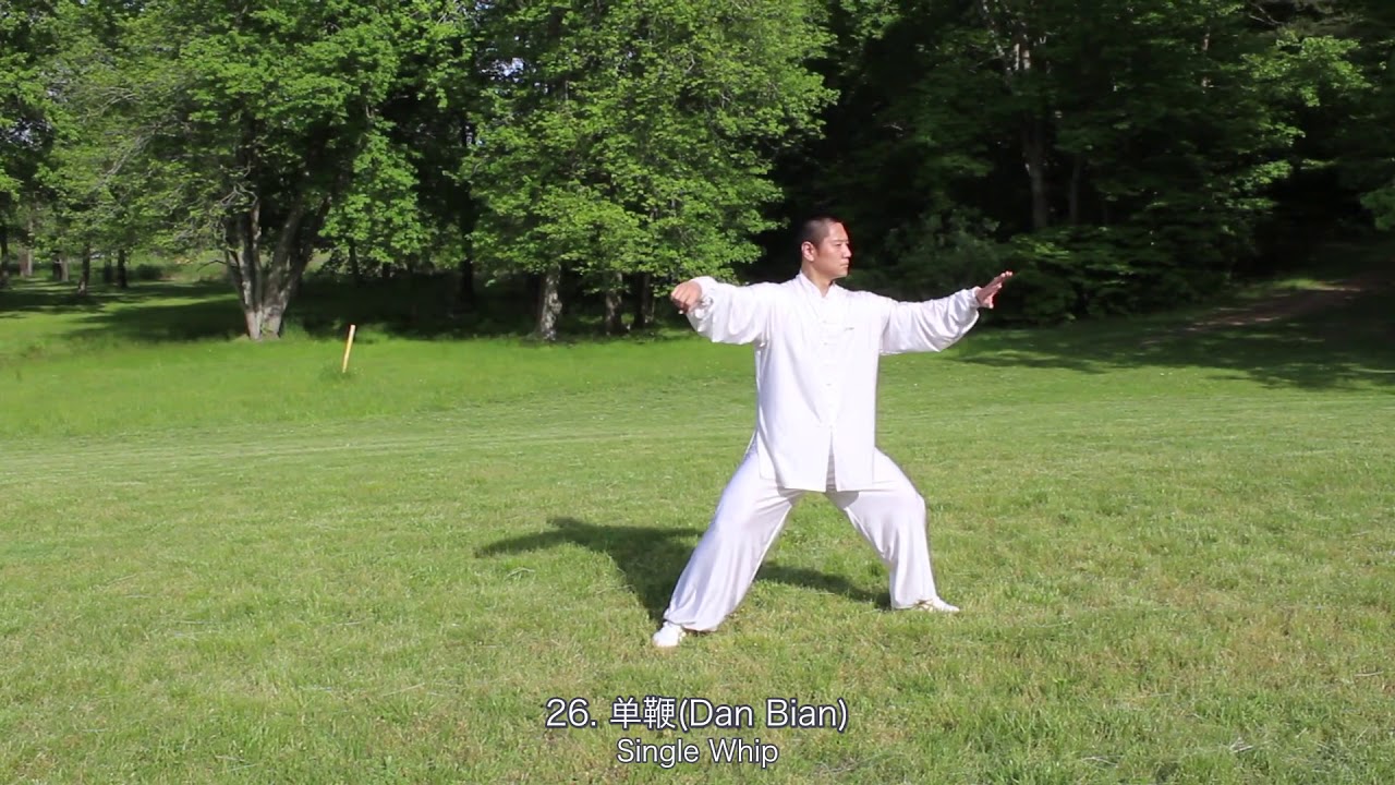 Hao Zhang taichi-陈氏太极拳老架一路(Chen Style Old Form First Routime)
