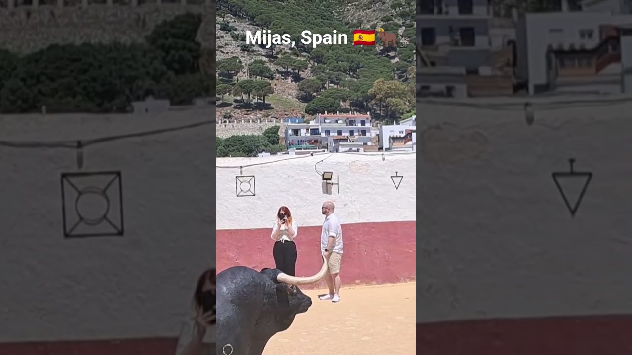 Ready for bullfight?