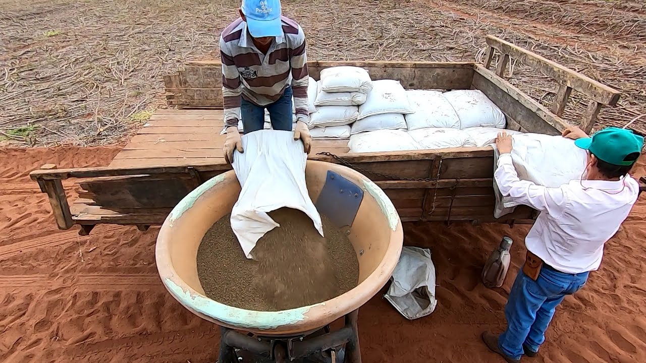 PREPARAÇÃO DO SOLO PARA O PLANTIO DE CAPIM MG-5