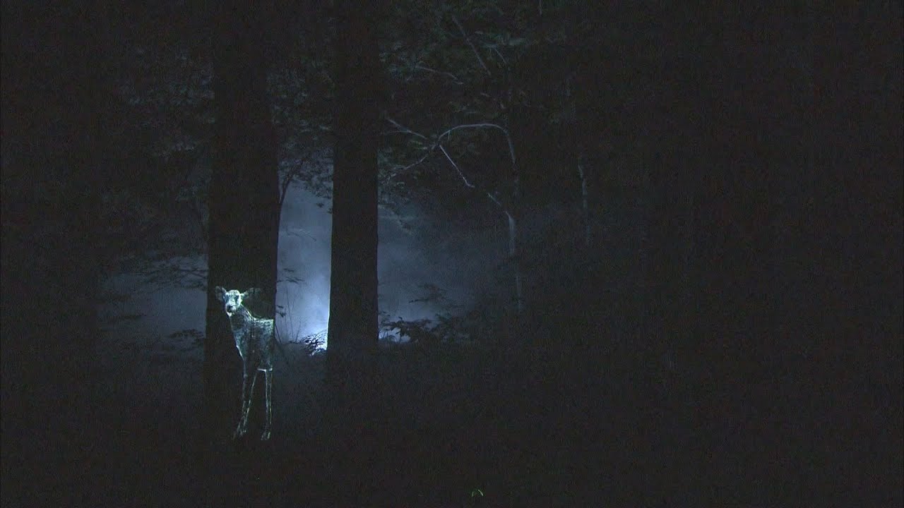 【HTBニュース】日本初　国立公園で夜の冒険アトラクション