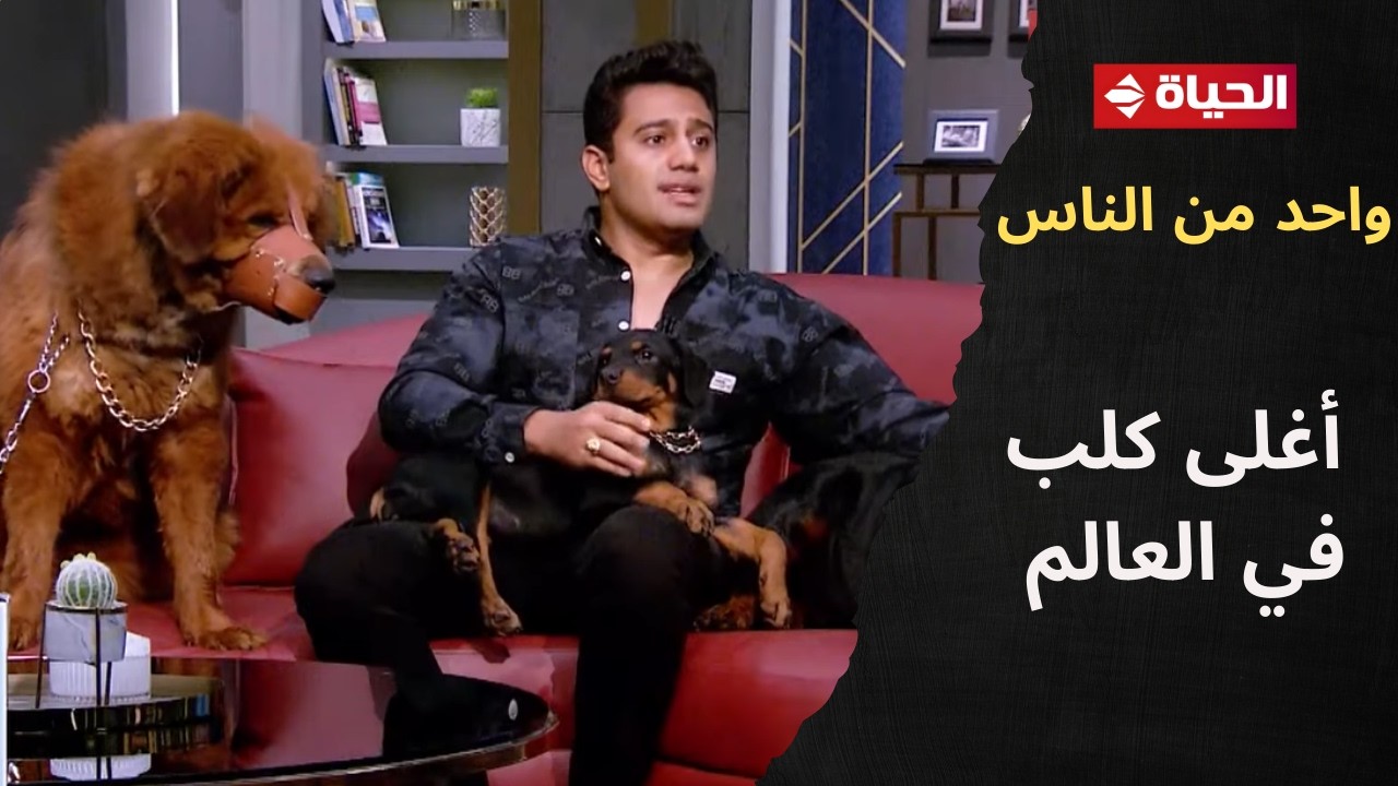 فقرة مختلفة من نوعها مع باسم هانط اللي هيكلمنا عن أغلى كلب في العالم🐕‍🦺💸في 