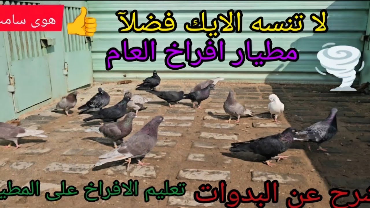 طيرت افراخ العام هوى شرجي سامت +شرح عن البدوات