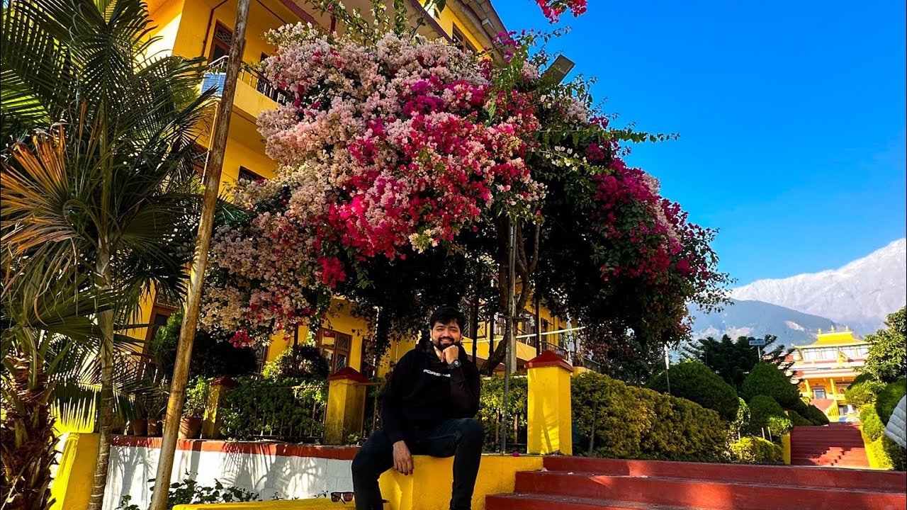 We EXPLORED & Recreated YJHD in Dharamshala 🫶🏻 | UNFILTERED Ep-2