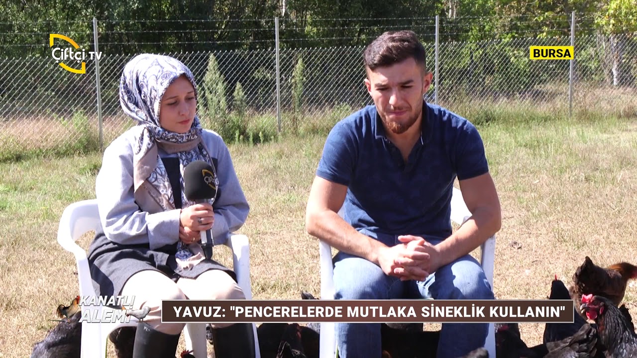 Ataks Tavuğu Yetiştiriciliği - Kanatlı Alemi / Çiftçi TV