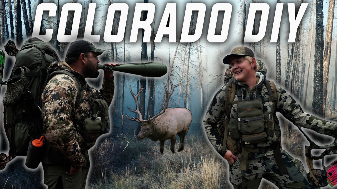 Colorado Backcountry Bowhunt