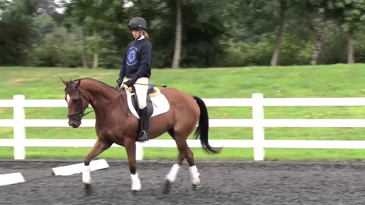 Riding a 20 metre circle
