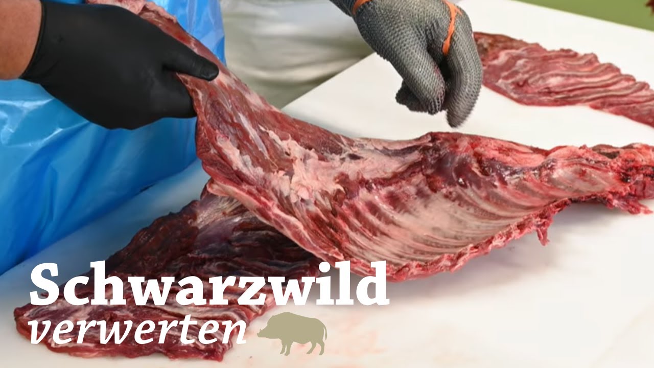 Wildschwein zerlegen: Bauch k&uuml;chenfertig machen | Dr&uuml;ckjagd | Saujagd | Wild Boar | Jungj&auml;ger