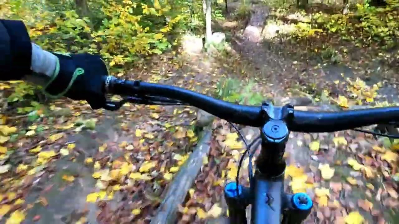 Bikepark Eppingen