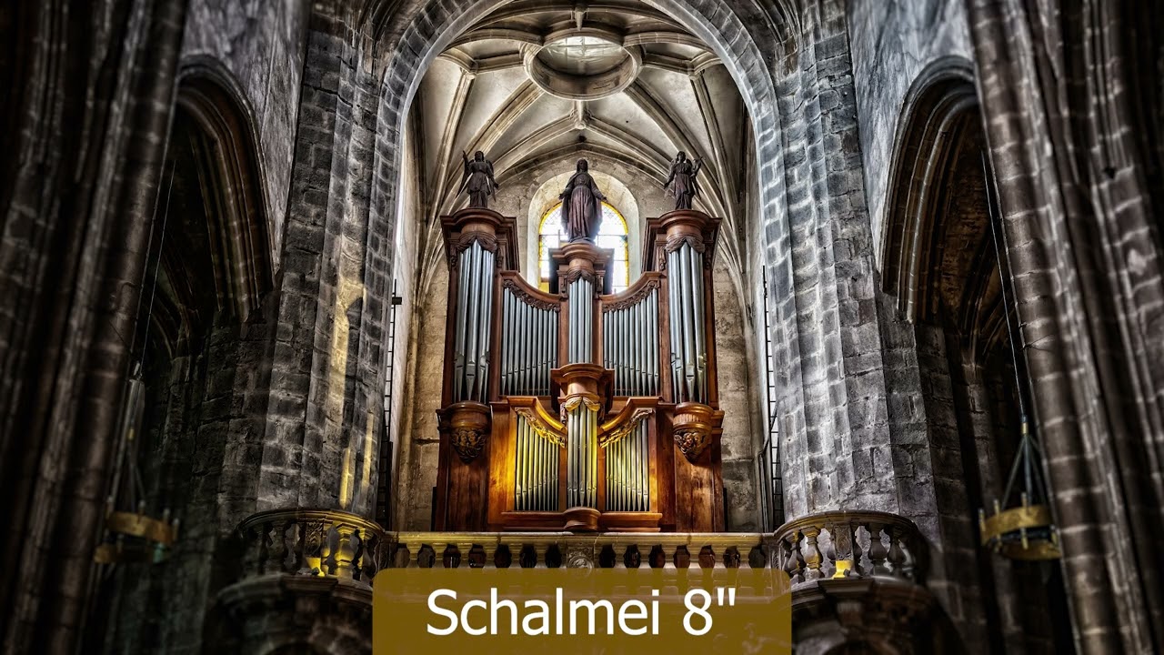 Complete Organ Stops - Schalmei 8
