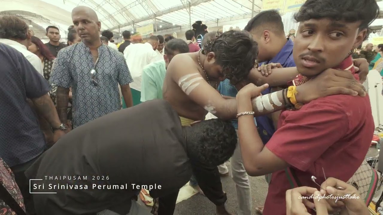 Thaipusam 2026: The Power of Faith and Kavadi Devotion