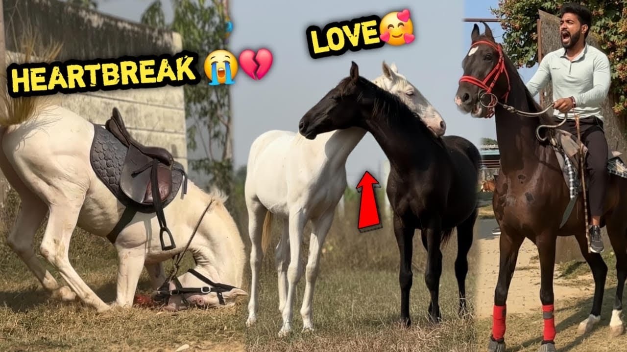 💔CAPTAIN Dekhta Reh Gaya 🥺CHETIKA Ka 💓 ABHIRAJ Ne Jeet Liya 💪🏻Pyar Ho Gya Dono Ko ❤️