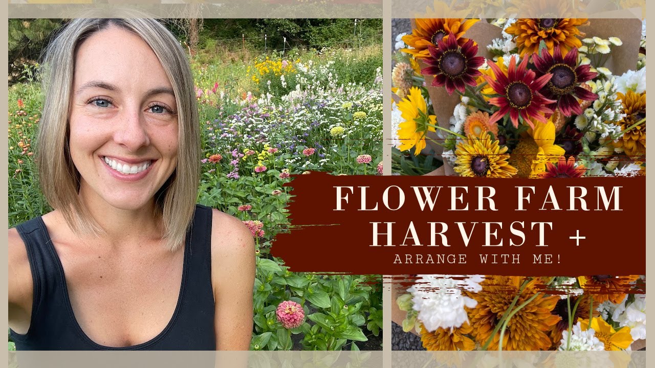 Flower Farm Harvest + Arrange with me
