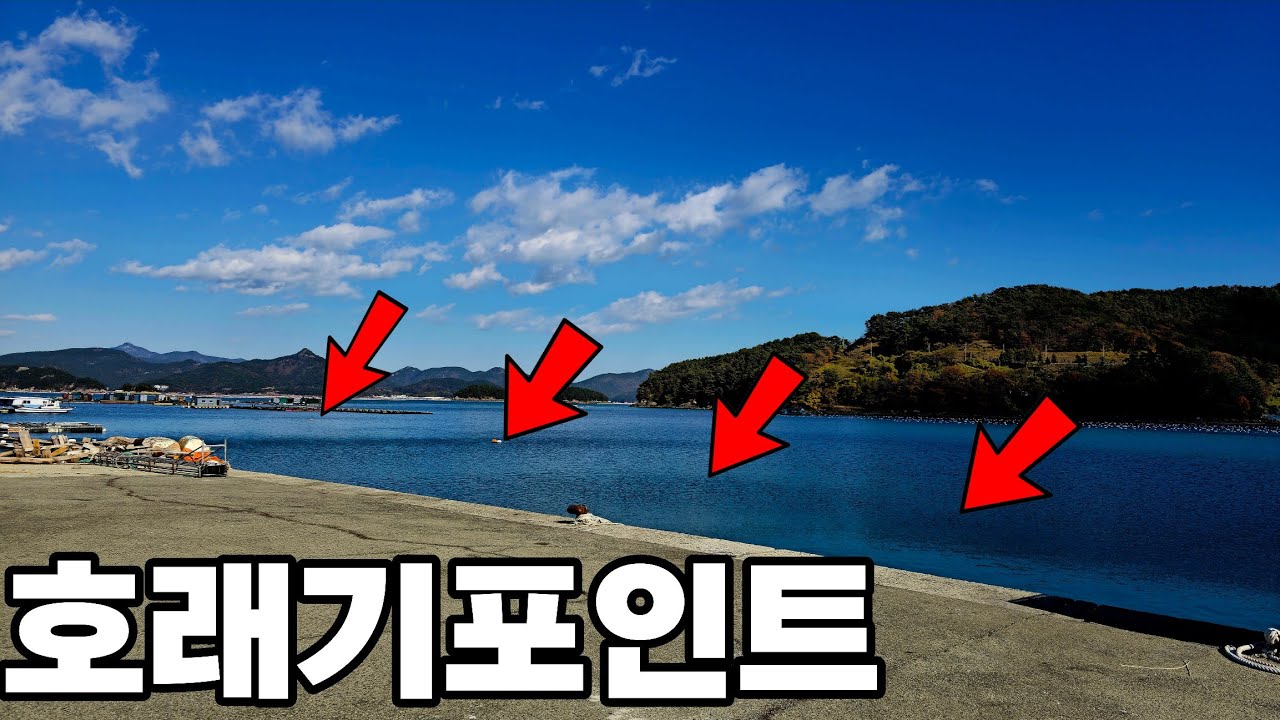 호래기 입문자 통영 풍화리 포인트
