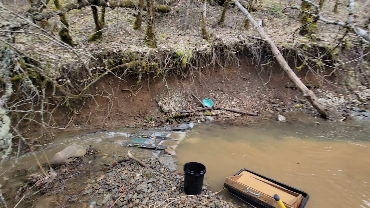 When You Tube Gold Miners Gather!