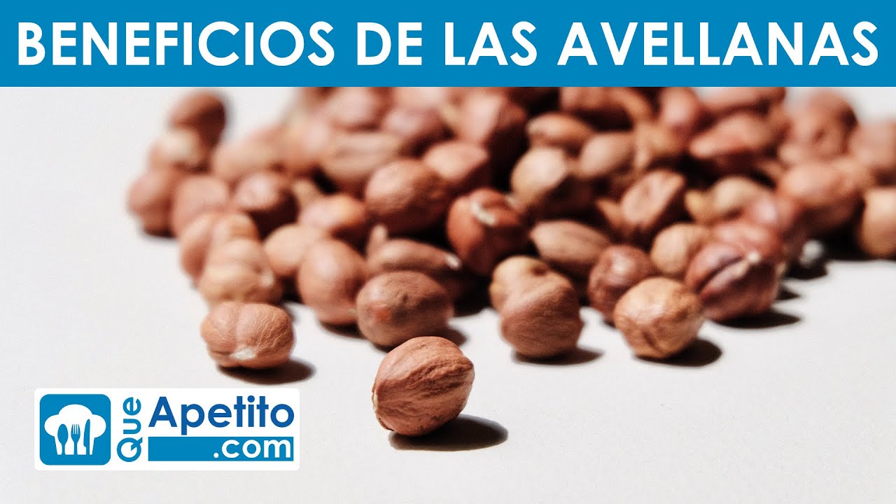 8 Propiedades y Beneficios de las Avellanas | QueApetito