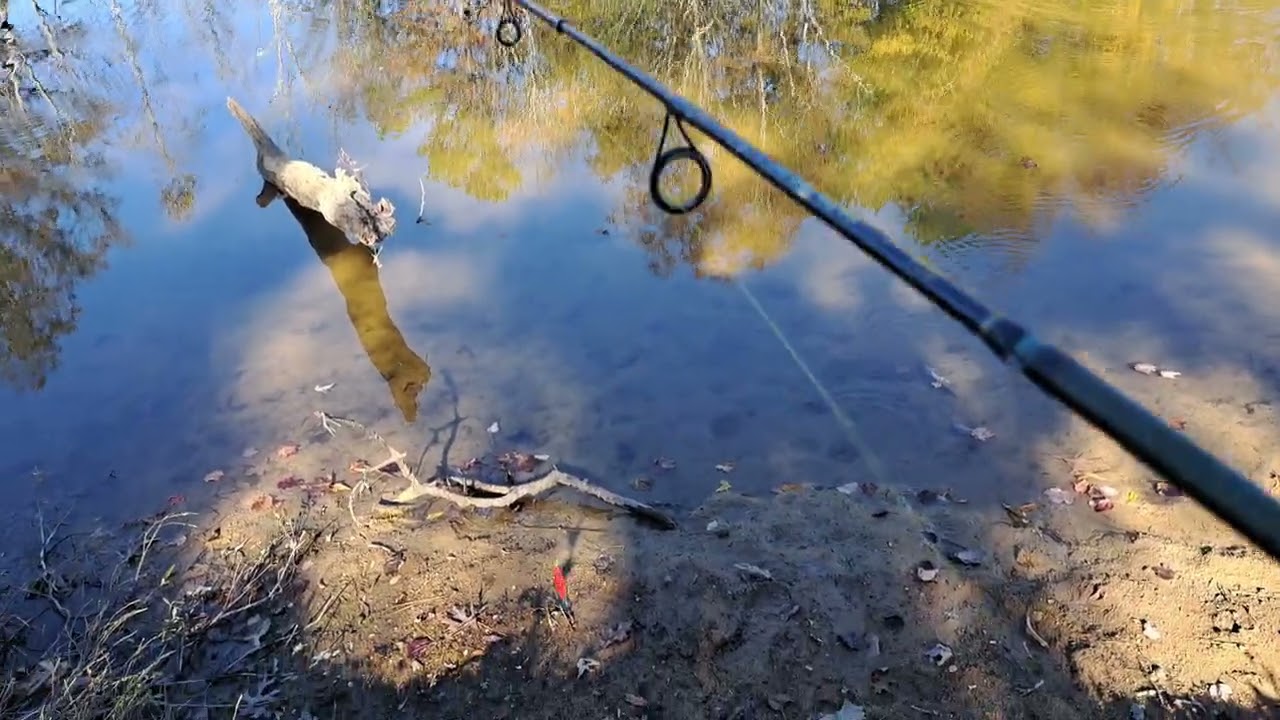 411 church fishing spot but didn't get anything but saw the cat chaos 