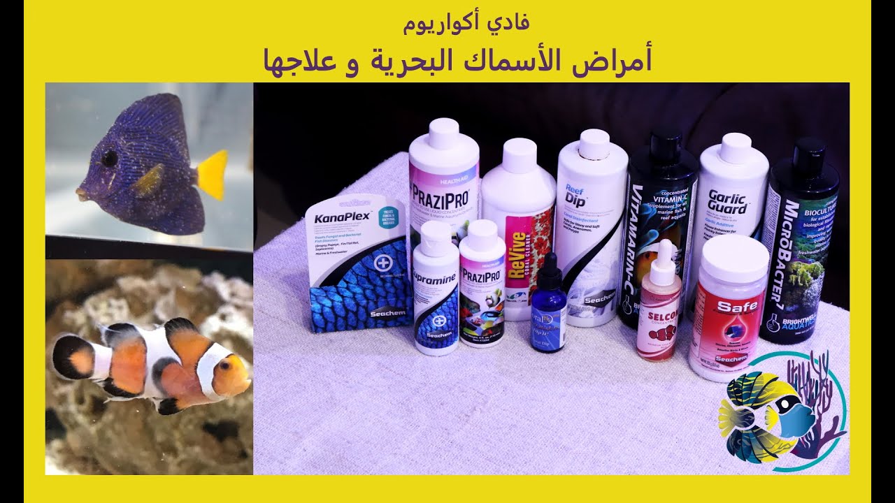 امراض الاسماك البحرية و طرق علاجها