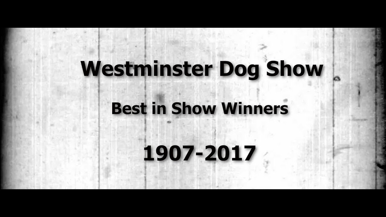 Westminster Best in Show Winner 1907-2017