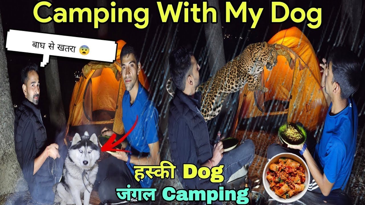 Night Camping With My Dog In Forest | Survival Camping With Dog | Camping In India |