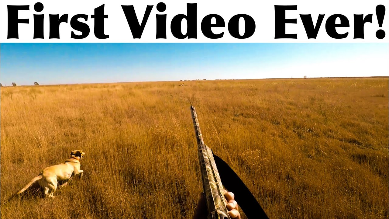 The Video that Started it All!