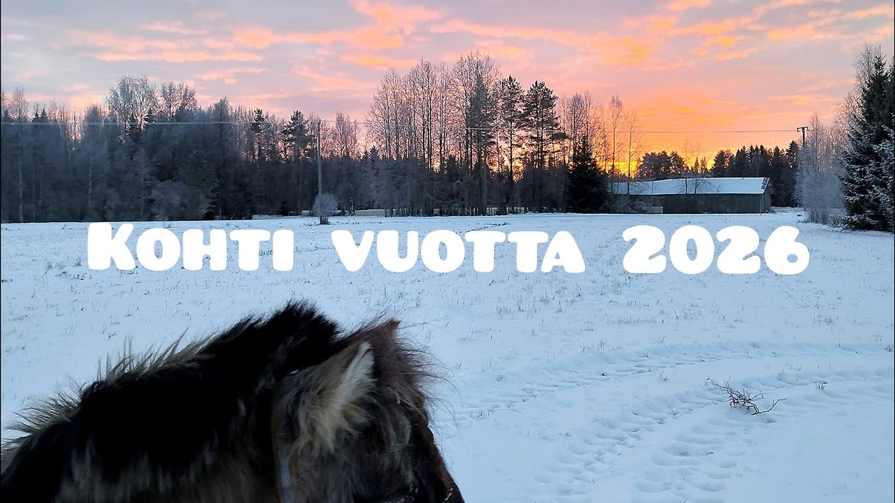 Kohti vuotta 2026