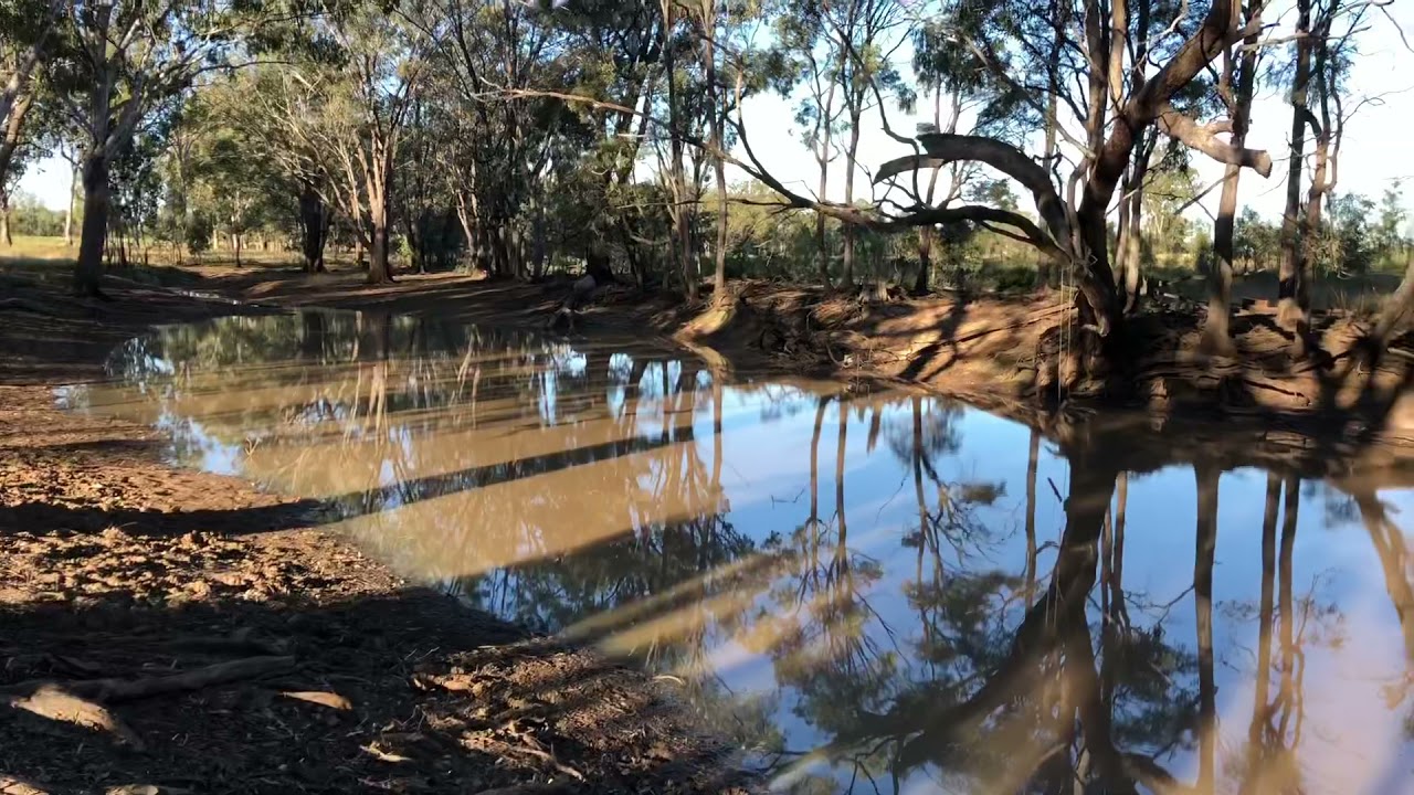 Pidgee Billabong 176