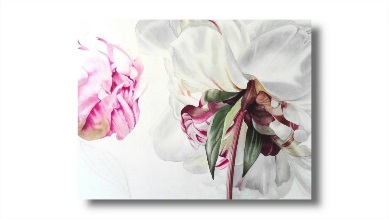 ПОКРЫТИЕ SBA