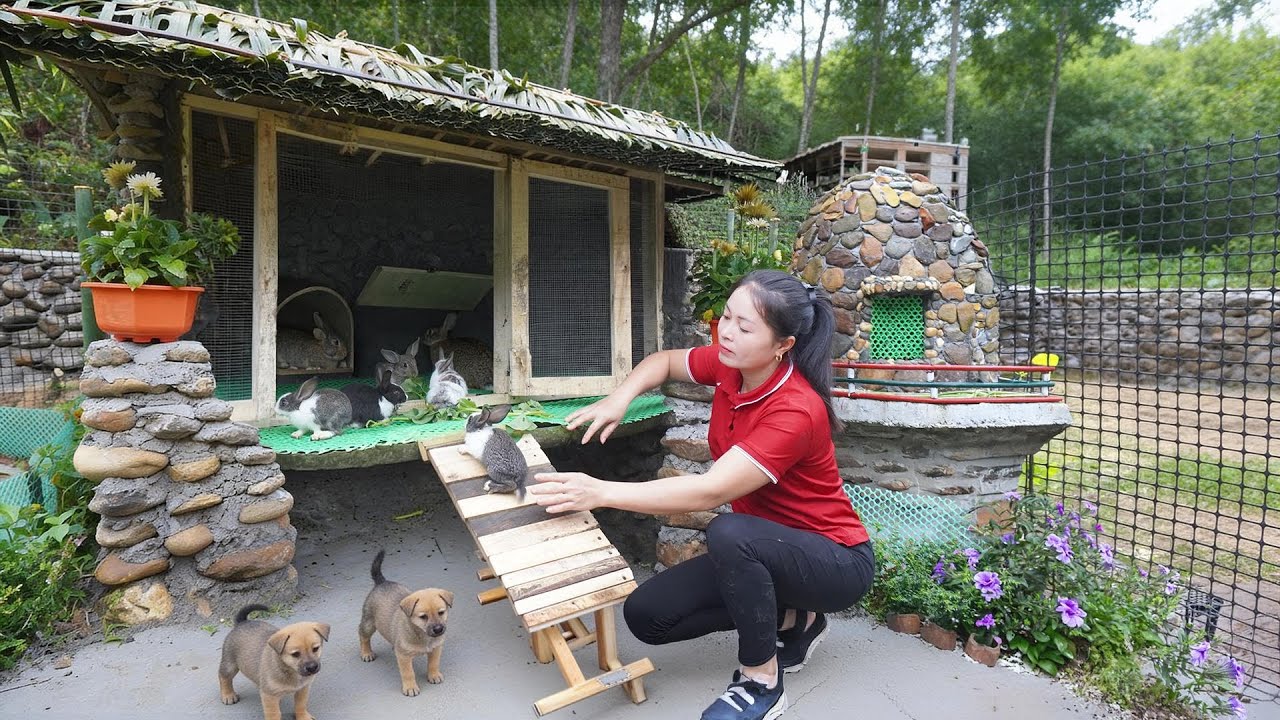 TIMELAPSE -- Construção Completa da Linda Casa de Pedra para Coelhos | Đào Happy TV
