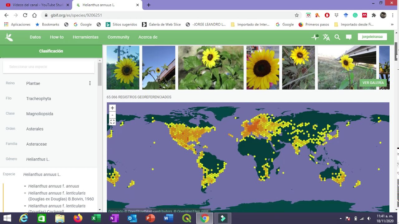 gbif consulta y descarga datos de las especies y su distribución geográfica