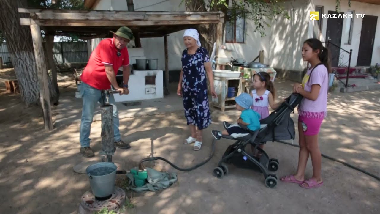 Саксаул и его целебные свойства
