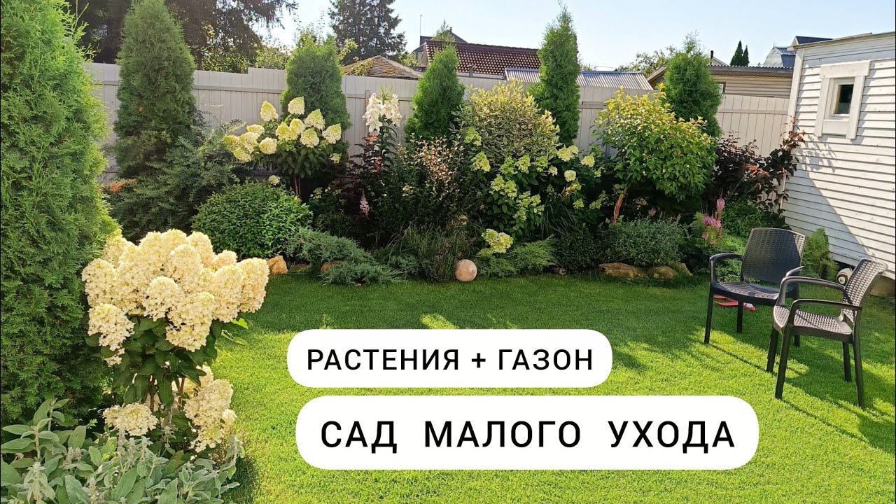 Обзор Малоуходного Сада на 4,5 сотках // Растения + Газон = Лучший вариант !🌿 ✂️