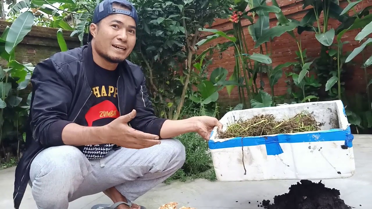 Beternak cacing tanpa modal