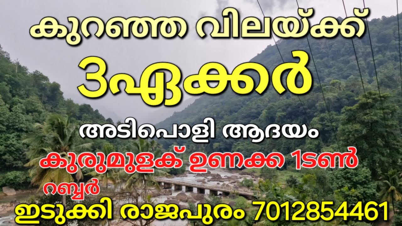 ഏറ്റവും കുറഞ്ഞ വിലയ്ക്ക് 3ഏക്കർ കുരുമുളക്. റബ്ബർ... ഇടുക്കി മുരിക്കാശേരി 7012854461