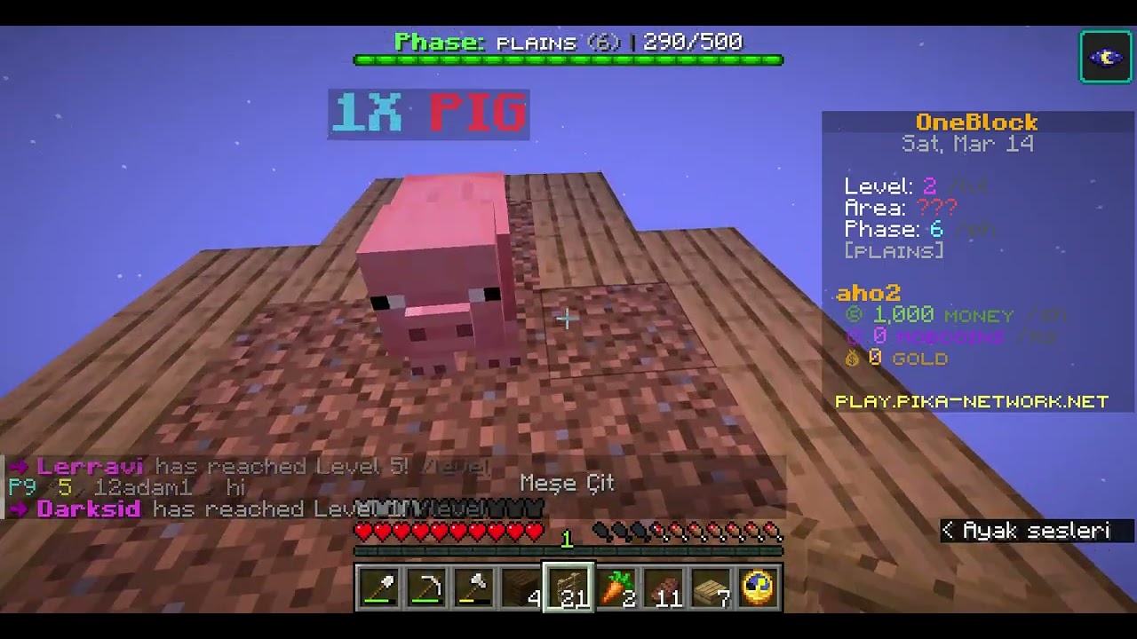 pika sunucusunda ikinci videom
