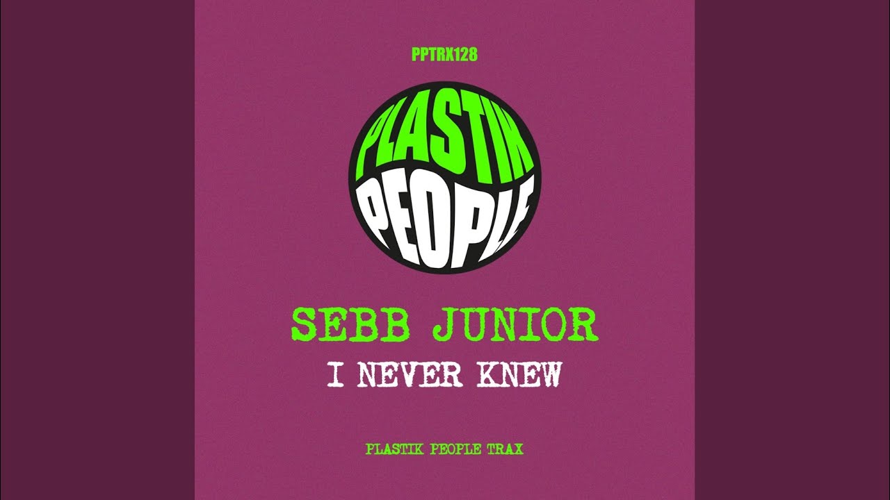 I Never Knew (Original Vocal Mix)