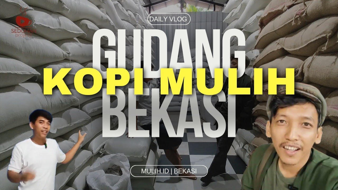 Gudang Kopi di Bekasi, Mulih.id | Supplier Greenbean & Roasted Bean Arabika Robusta