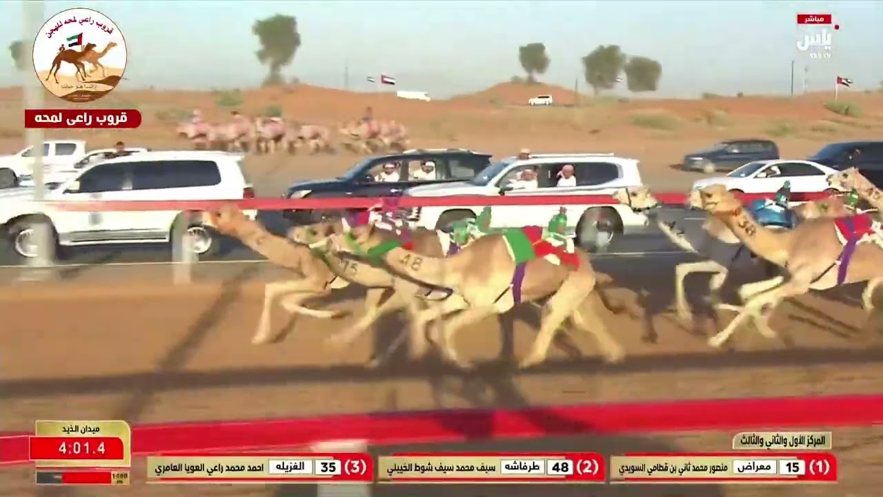 الشوط 17 نجود لـ زايد سالم سعيد الجنيبي 6:16:84( مهرجان الشيخ محمد بن زايد 2025 )