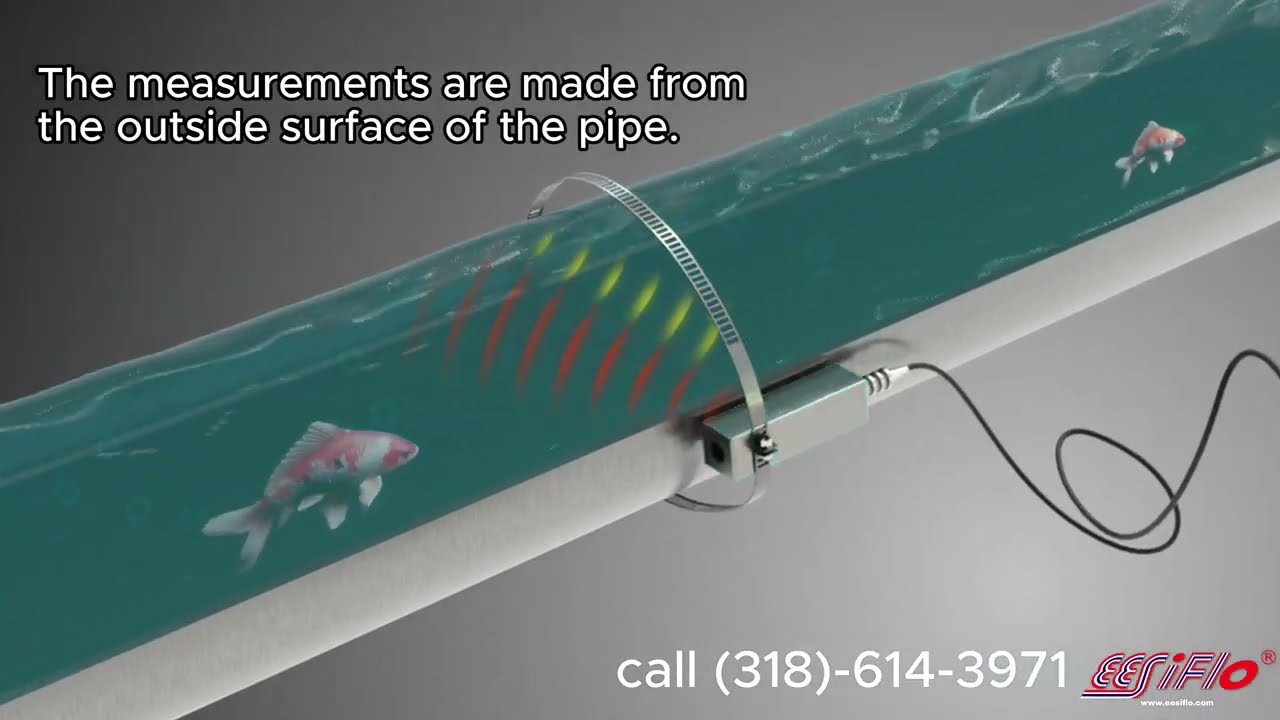 PORTABLE DOPPLER FLOW METERS