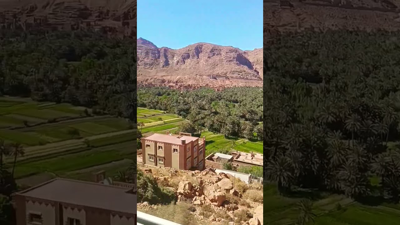 Todgha Valley Tinghir Morocco 🇲🇦 😍🌴#tinghir #todyshort #todaystory #maroc #travelvlog #traveling