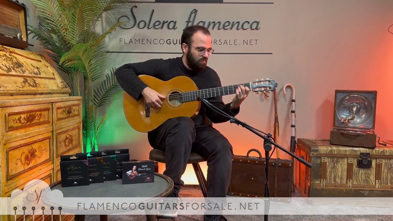 Francisco Barba 2007 flamenco guitar for sale played by Toni Abellán