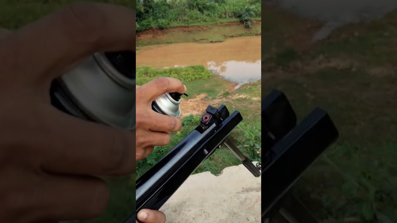 shooting with pellet gun🔥#pelletguns  #trending #youtubeshorts