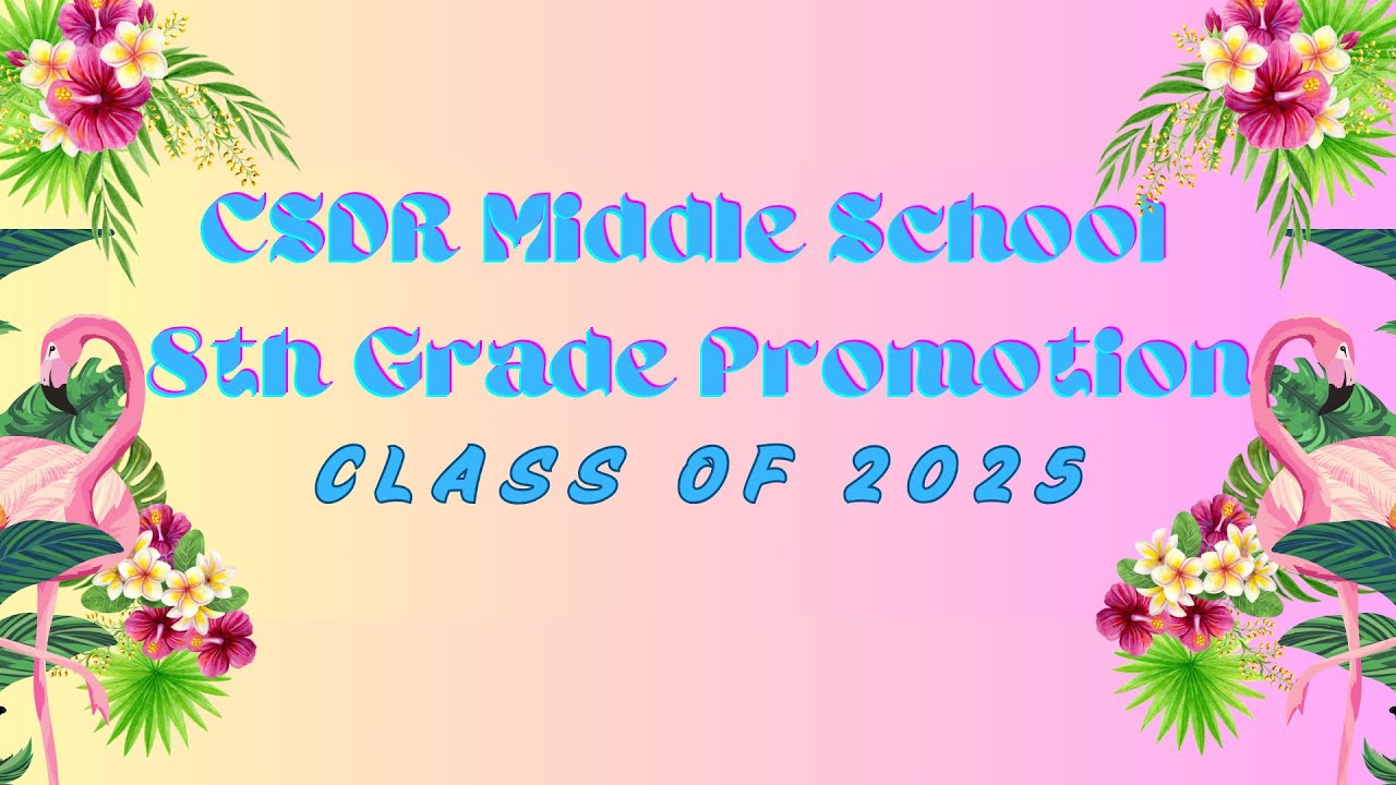 CSDR MS Promotion 2025