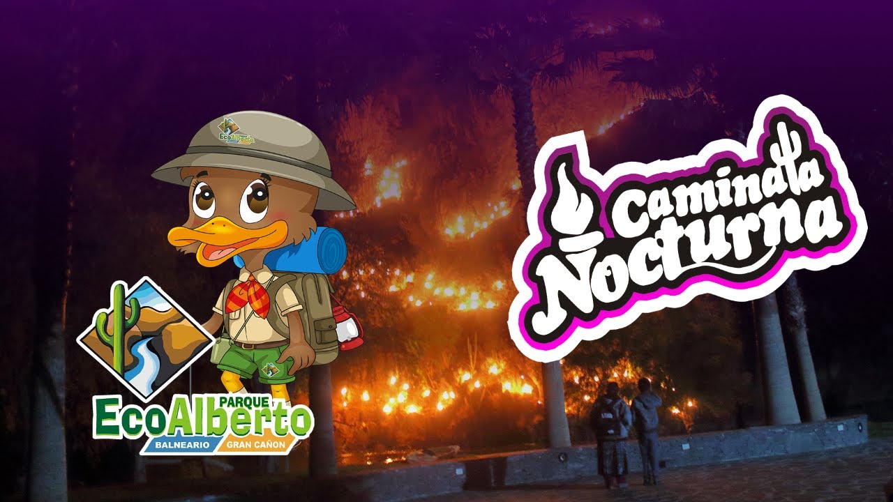La Caminata Nocturna de Parque EcoAlberto