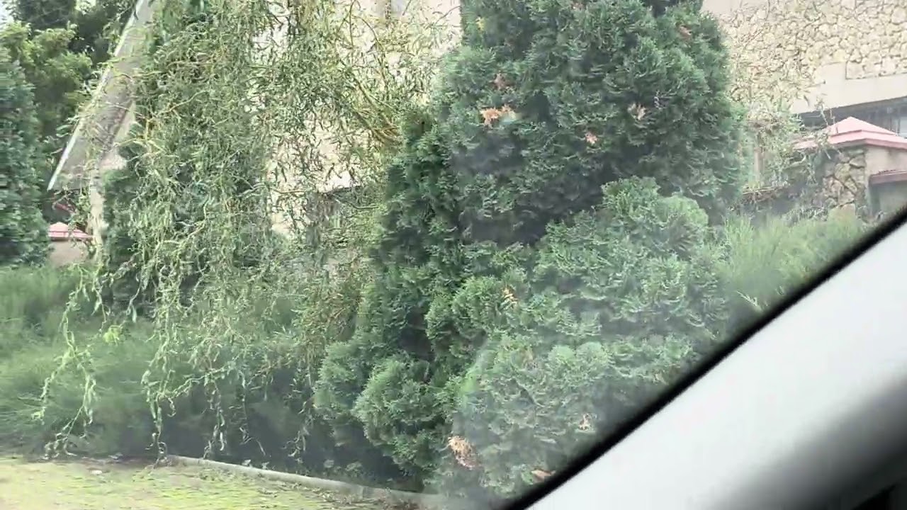 Ул.Шевченко  Липканы Молдова