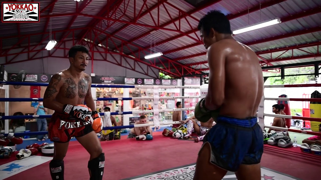 Muay Thai Champions: Singdam sparring with Pakorn - YOKKAO Training Center Bangkok