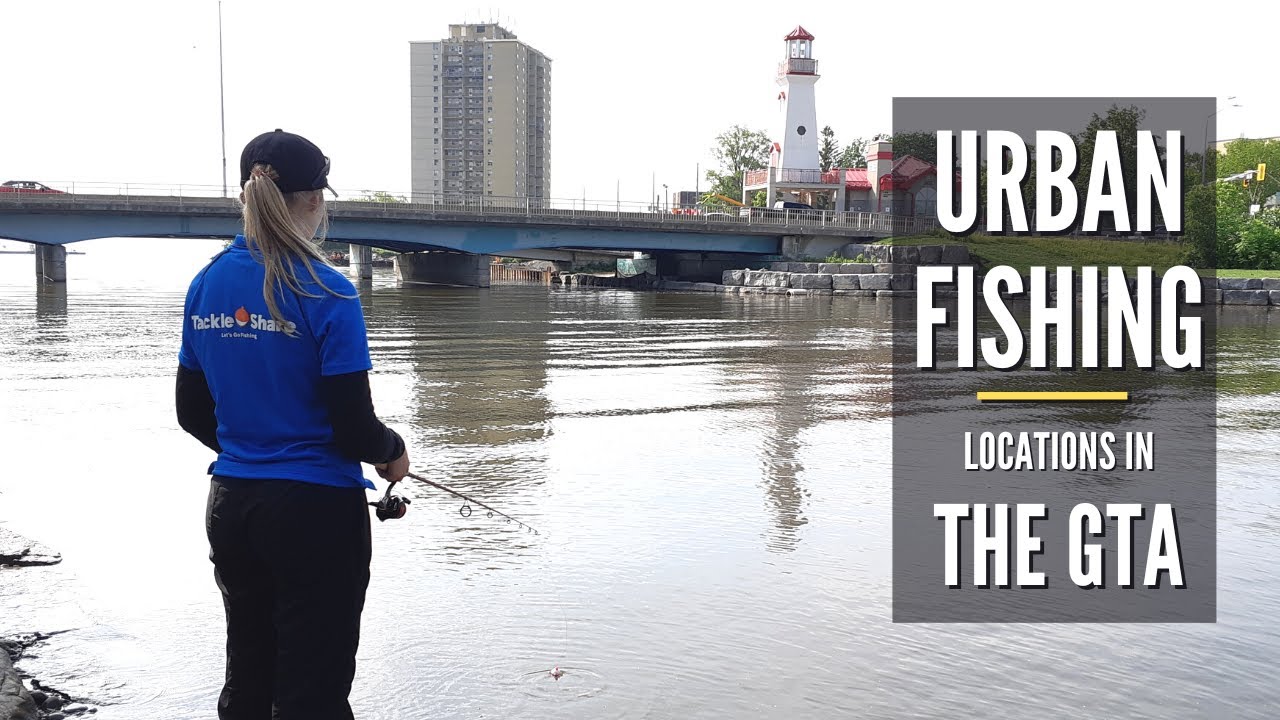 Port Credit Memorial Park, Mississauga | Urban Fishing Locations in the GTA