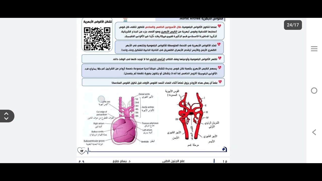 تطور الجهاز القلبي الوعائي (8)