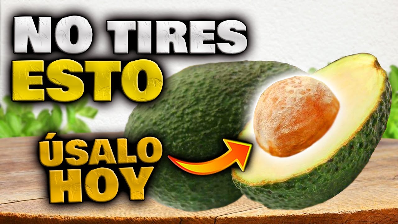 BENEFICIOS del HUESO de AGUACATE 🥑 CÓMO CONSUMIRLA | Propiedades de la SEMILLA de Aguacate o Palta