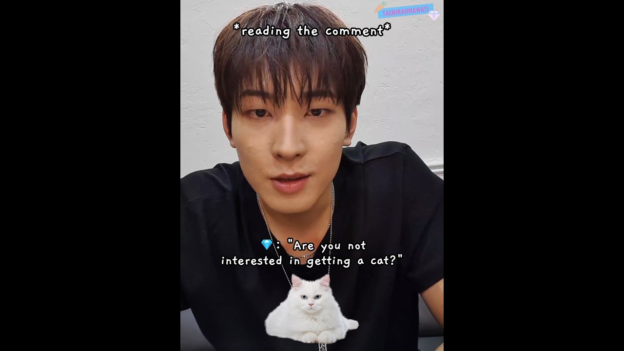 carats asked wonwoo if he is not interested in getting a cat 😭🐱 #seventeen #wonwoo