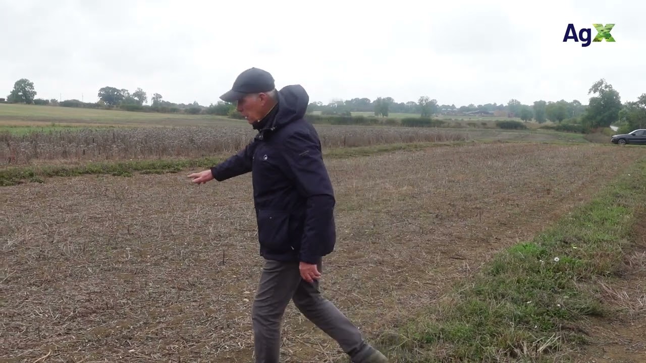 Going forward comparing disc against tine in a direct drilling situation  - Lamport AgX